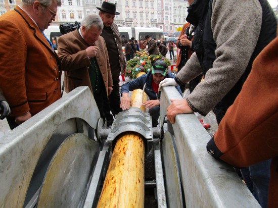 Linzer Maibaum 21.JPG